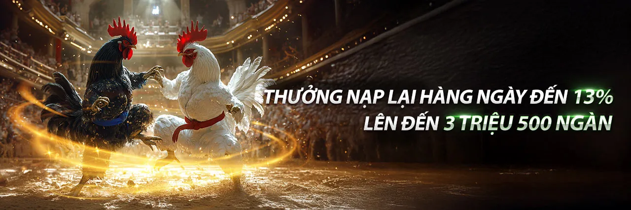 Đá Gà Hôm Nay Duyên Ti – Trận đấu gà kịch tính